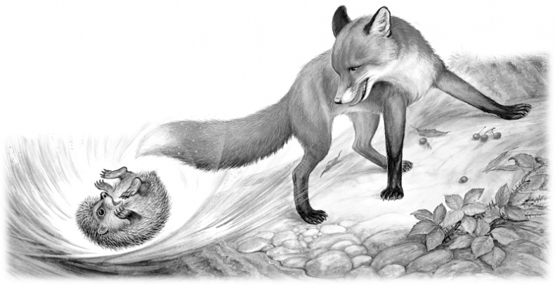 Иллюстрация к книге — Сказки и рассказы [_116117.jpg]