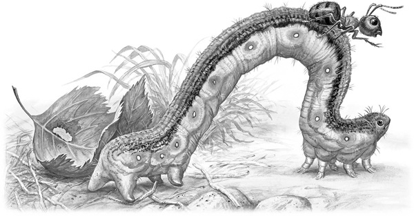 Иллюстрация к книге — Сказки и рассказы [_120copy.jpg]