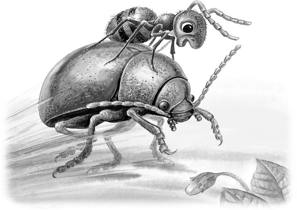 Иллюстрация к книге — Сказки и рассказы [_125copy.jpg]