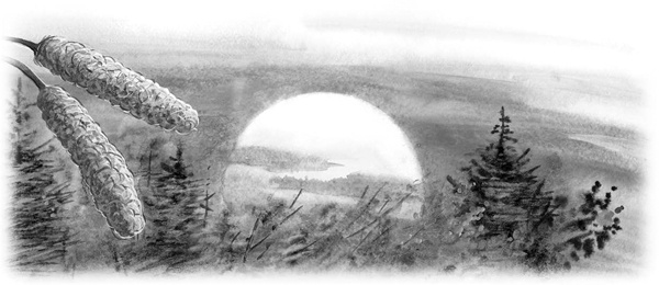 Иллюстрация к книге — Сказки и рассказы [_130copy.jpg]