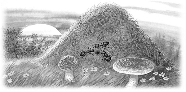 Иллюстрация к книге — Сказки и рассказы [_134copy.jpg]