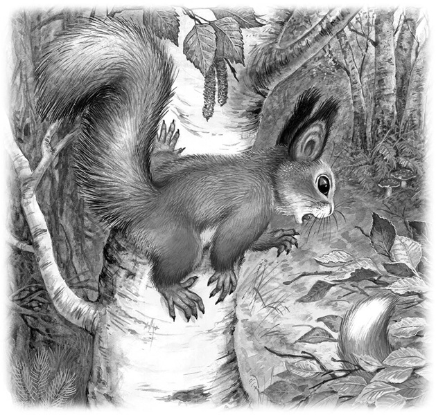 Иллюстрация к книге — Сказки и рассказы [_156.jpg]