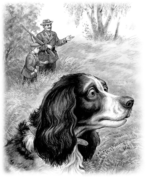 Иллюстрация к книге — Сказки и рассказы [_164.jpg]