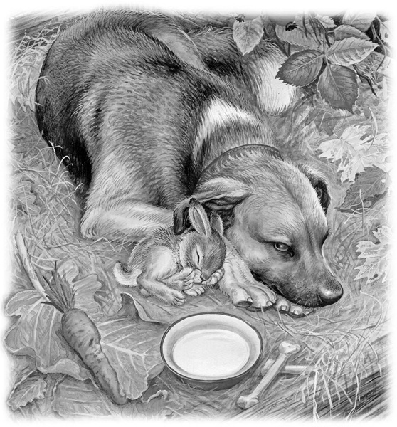 Иллюстрация к книге — Сказки и рассказы [_170.jpg]