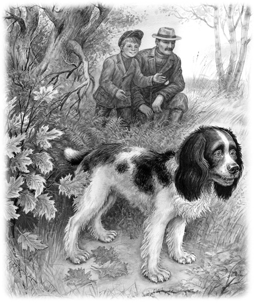 Иллюстрация к книге — Сказки и рассказы [_180.jpg]