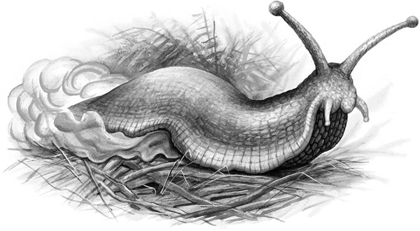 Иллюстрация к книге — Сказки и рассказы [_219copy.jpg]