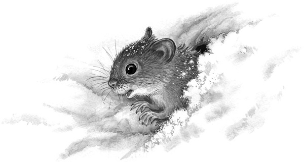 Иллюстрация к книге — Сказки и рассказы [_224copy.jpg]