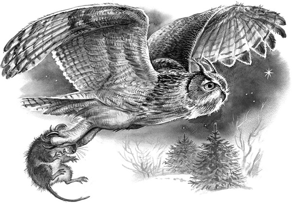 Иллюстрация к книге — Сказки и рассказы [_233copy.jpg]