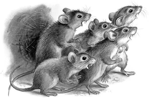 Иллюстрация к книге — Сказки и рассказы [_240copy.jpg]