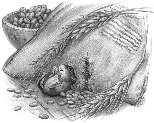 Иллюстрация к книге — Сказки и рассказы [_241copy.jpg]