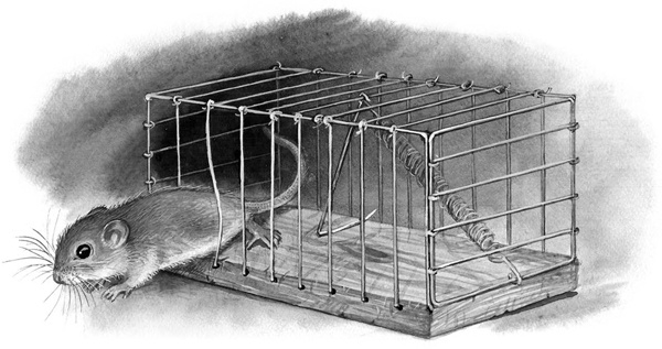 Иллюстрация к книге — Сказки и рассказы [_243copy.jpg]