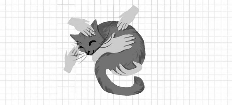 Иллюстрация к книге — Дневник дебильного кота. Великое путешествие Эдгара [i_030.jpg]