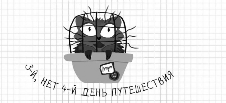 Иллюстрация к книге — Дневник дебильного кота. Великое путешествие Эдгара [i_045.jpg]