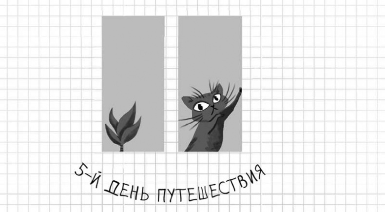 Иллюстрация к книге — Дневник дебильного кота. Великое путешествие Эдгара [i_052.jpg]