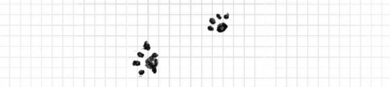 Иллюстрация к книге — Дневник дебильного кота. Великое путешествие Эдгара [i_077.jpg]