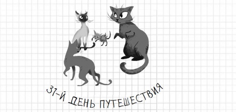 Иллюстрация к книге — Дневник дебильного кота. Великое путешествие Эдгара [i_132.jpg]