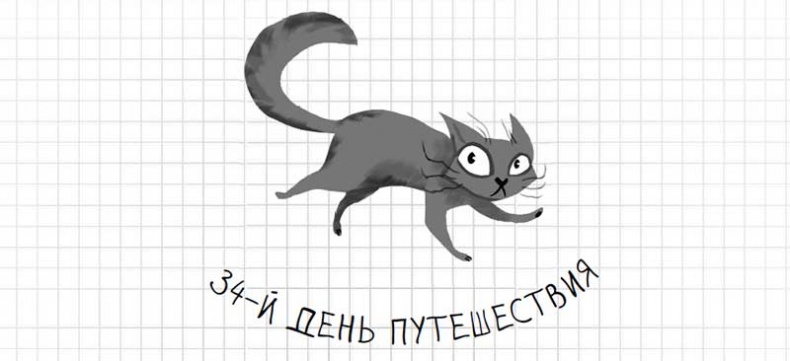 Иллюстрация к книге — Дневник дебильного кота. Великое путешествие Эдгара [i_141.jpg]