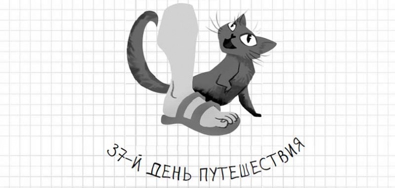 Иллюстрация к книге — Дневник дебильного кота. Великое путешествие Эдгара [i_148.jpg]