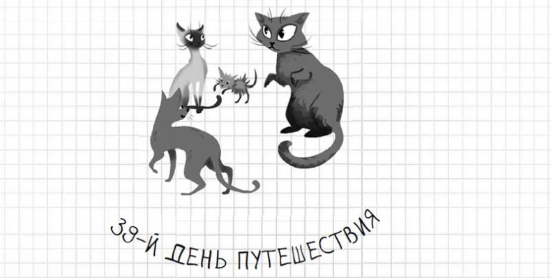 Иллюстрация к книге — Дневник дебильного кота. Великое путешествие Эдгара [i_155.jpg]