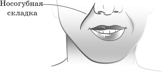 Иллюстрация к книге — Как обмануть возраст [i_015.jpg]