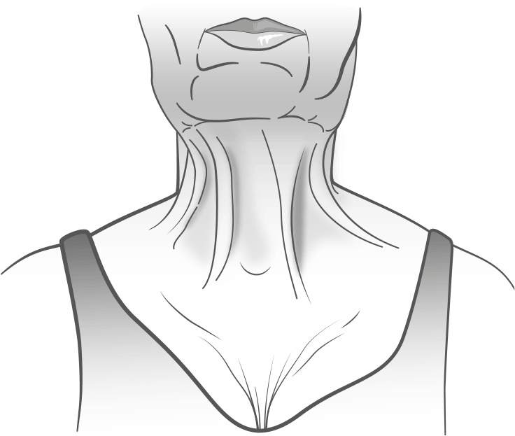 Иллюстрация к книге — Как обмануть возраст [i_021.jpg]