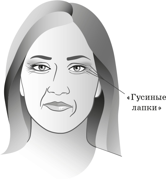 Иллюстрация к книге — Как обмануть возраст [i_022.jpg]