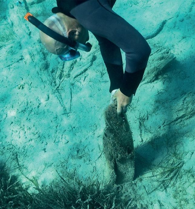 Иллюстрация к книге — Острова невезения [_96.jpg]