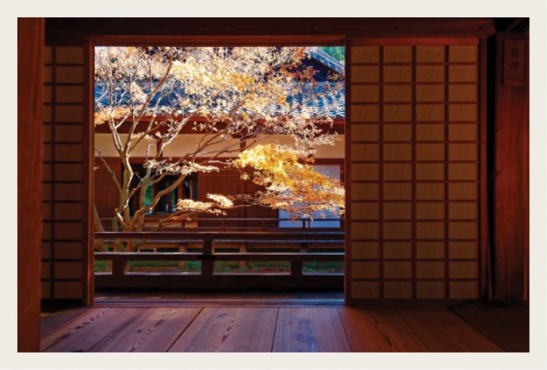 Иллюстрация к книге — Wabi Sabi. Японские секреты истинного счастья в неидеальном мире [i_010.jpg]