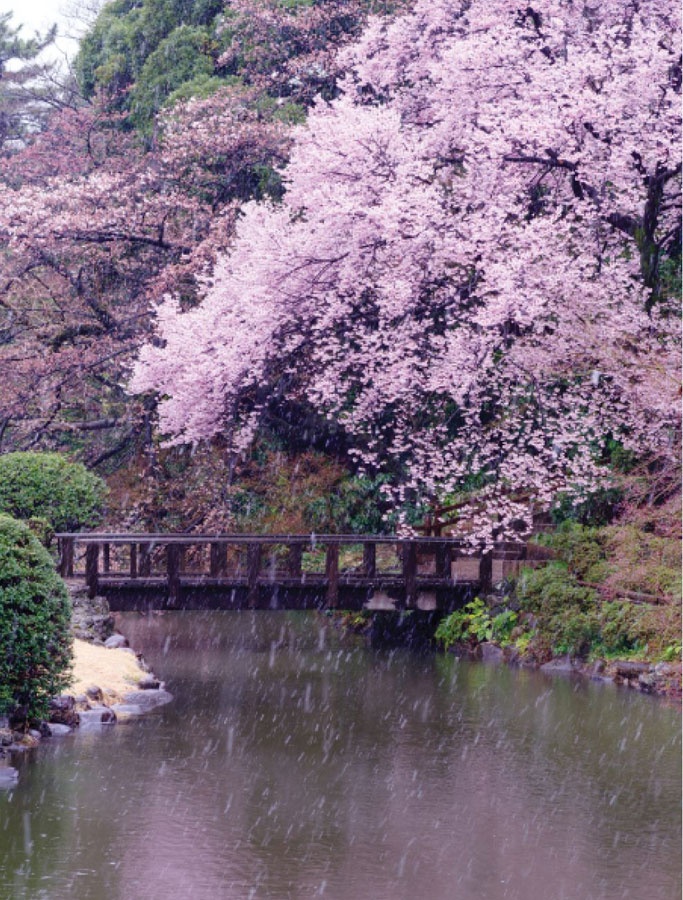 Иллюстрация к книге — Wabi Sabi. Японские секреты истинного счастья в неидеальном мире [i_026.jpg]