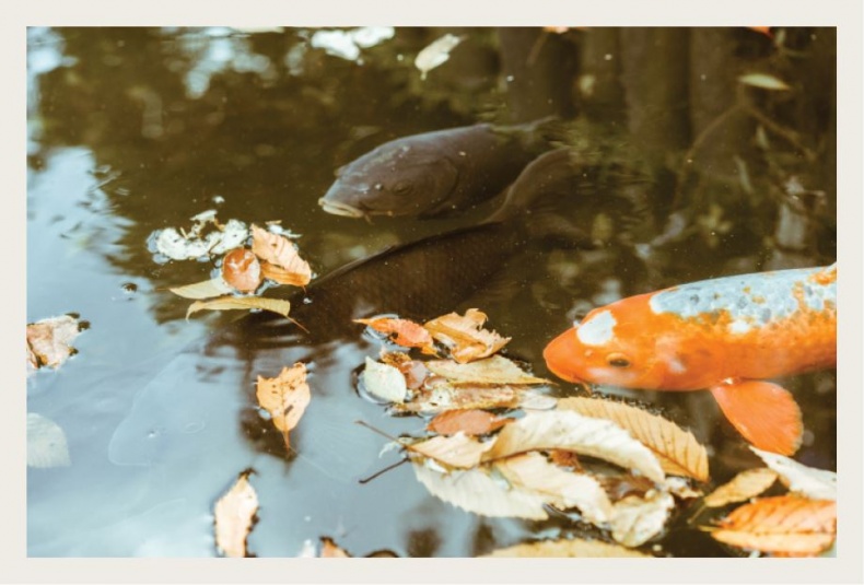 Иллюстрация к книге — Wabi Sabi. Японские секреты истинного счастья в неидеальном мире [i_031.jpg]