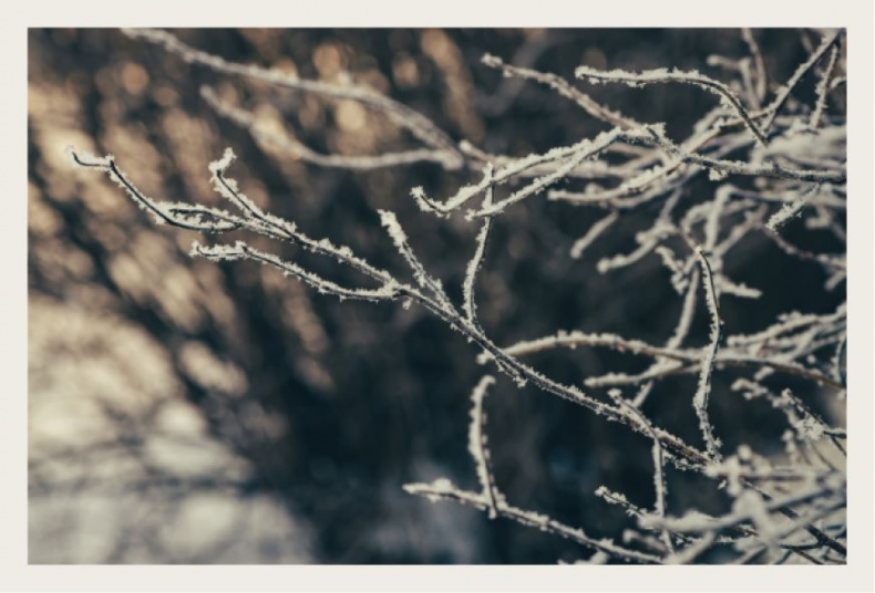 Иллюстрация к книге — Wabi Sabi. Японские секреты истинного счастья в неидеальном мире [i_033.jpg]