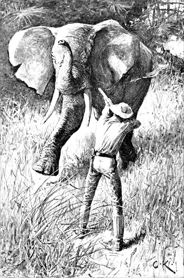 Иллюстрация к книге — Голова ведьмы [i_013.jpg]