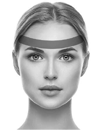 Иллюстрация к книге — На нервной почве. Познавательная медицинская мифология [i_010.jpg]