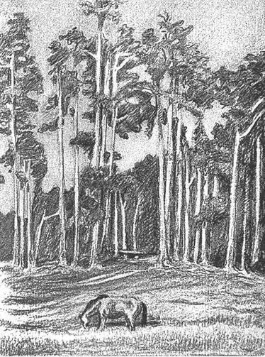 Иллюстрация к книге — Дом правительства. Сага о русской революции [i_397.jpg]