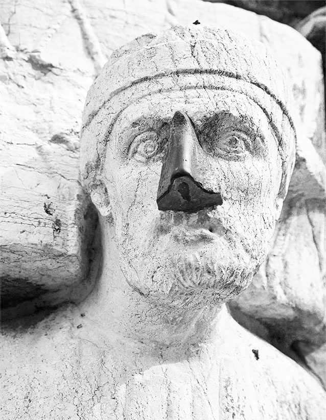 Иллюстрация к книге — Только Венеция. Образы Италии XXI [i_007.jpg]