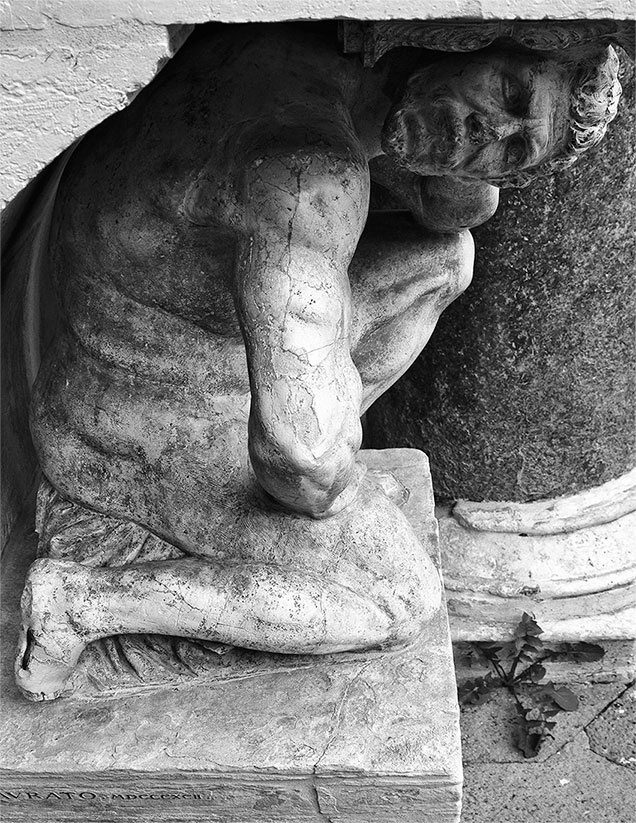 Иллюстрация к книге — Только Венеция. Образы Италии XXI [i_029.jpg]