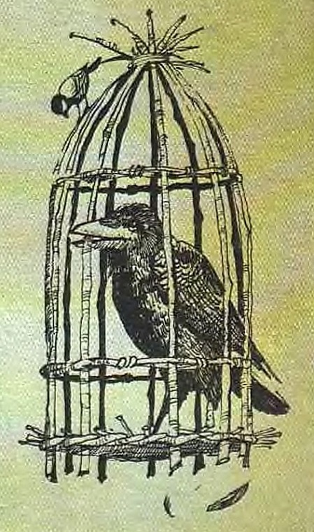 Иллюстрация к книге — Сказочное мореплавание [i_022.jpg]