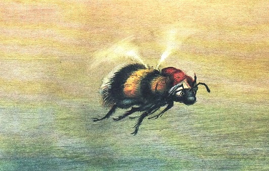 Иллюстрация к книге — Сказочное мореплавание [i_044.jpg]