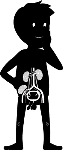 Иллюстрация к книге — Мужское здоровье. Как у вас с ним? [i_019.jpg]