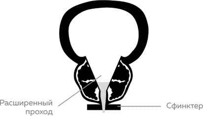 Иллюстрация к книге — Мужское здоровье. Как у вас с ним? [i_024.jpg]