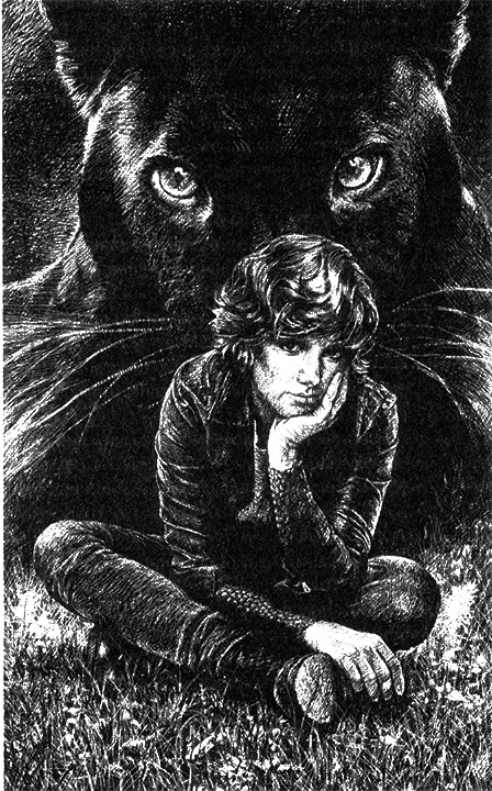 Иллюстрация к книге — Вожак [i_002.jpg]