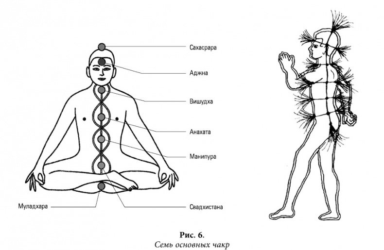 Иллюстрация к книге — Квантовая биомеханика тела. Методика оздоровления опорно-двигательного аппарата человека. Часть 1 [_05.jpg]