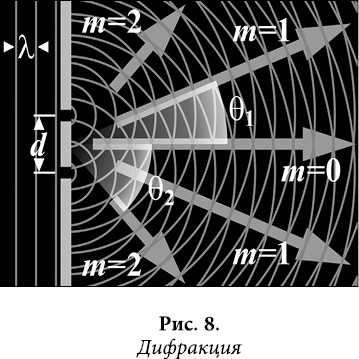 Иллюстрация к книге — Квантовая биомеханика тела. Методика оздоровления опорно-двигательного аппарата человека. Часть 1 [_07.jpg]
