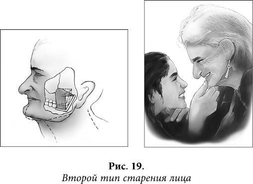 Иллюстрация к книге — Квантовая биомеханика тела. Методика оздоровления опорно-двигательного аппарата человека. Часть 1 [_15.jpg]