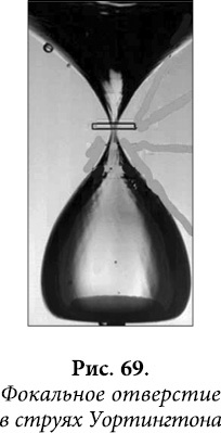 Иллюстрация к книге — Квантовая биомеханика тела. Методика оздоровления опорно-двигательного аппарата человека. Часть 1 [_56.jpg]