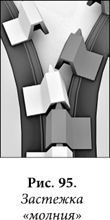 Иллюстрация к книге — Квантовая биомеханика тела. Методика оздоровления опорно-двигательного аппарата человека. Часть 1 [_78.jpg]