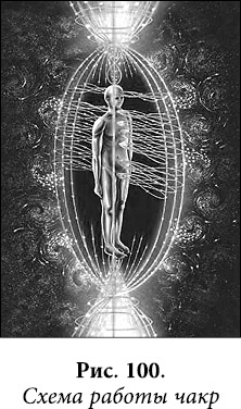 Иллюстрация к книге — Квантовая биомеханика тела. Методика оздоровления опорно-двигательного аппарата человека. Часть 1 [_83.jpg]