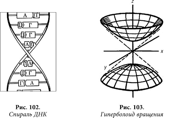 Иллюстрация к книге — Квантовая биомеханика тела. Методика оздоровления опорно-двигательного аппарата человека. Часть 1 [_85.jpg]