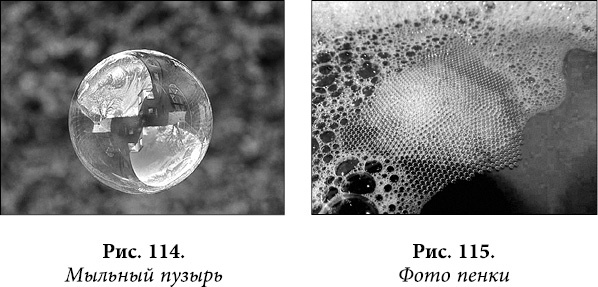 Иллюстрация к книге — Квантовая биомеханика тела. Методика оздоровления опорно-двигательного аппарата человека. Часть 1 [_91.jpg]
