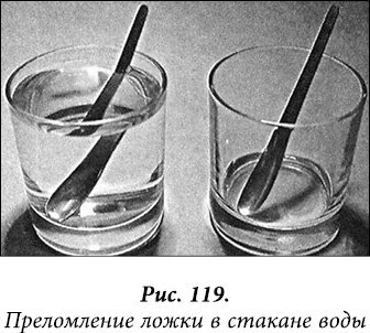 Иллюстрация к книге — Квантовая биомеханика тела. Методика оздоровления опорно-двигательного аппарата человека. Часть 1 [_95.jpg]